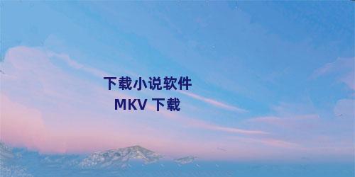 下载小说软件 MKV 下载